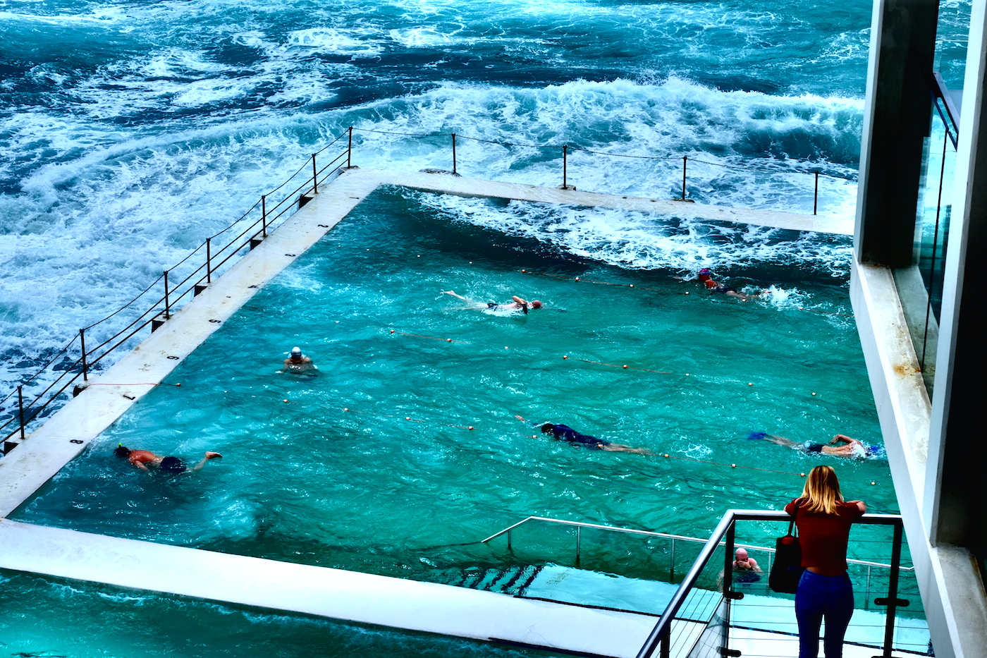 bondi beach icebergs