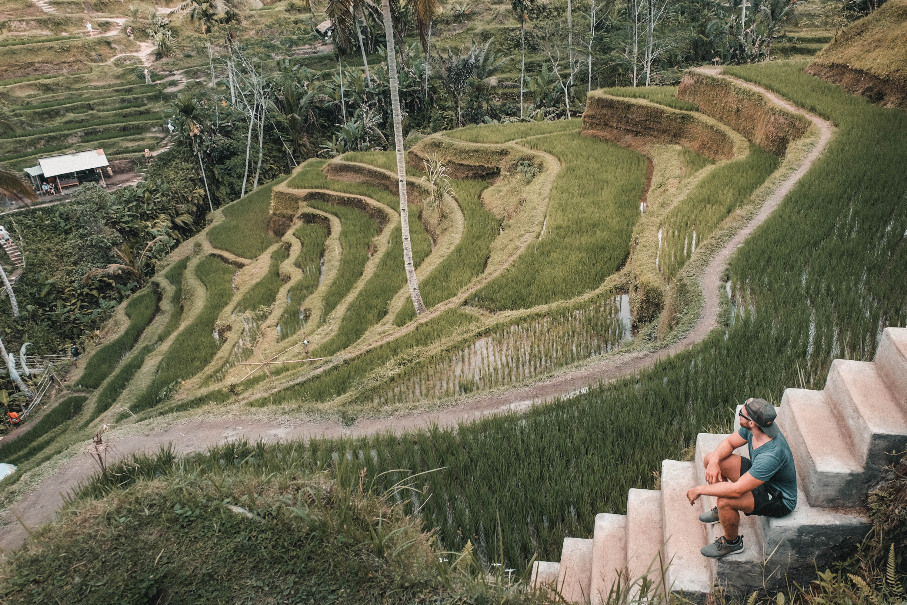 tegalalang rice terrace