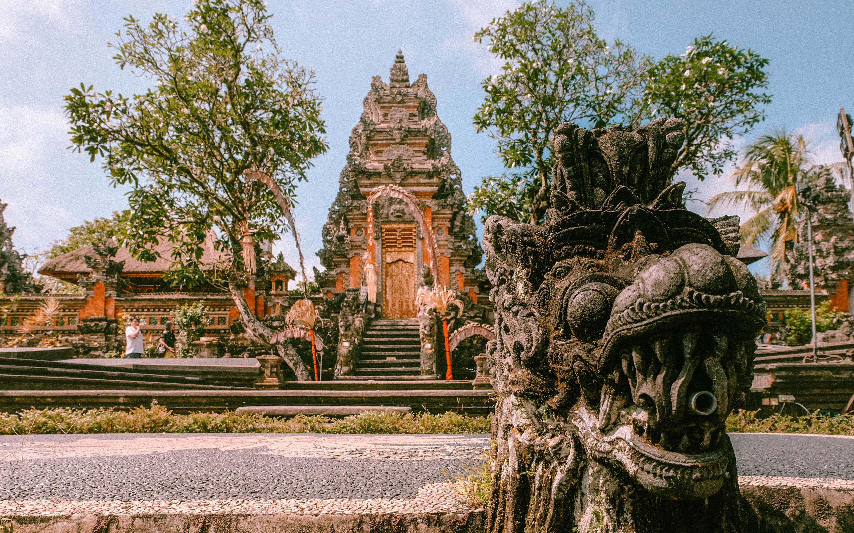 Ubud Tourist Guide | What you need to know about Ubud